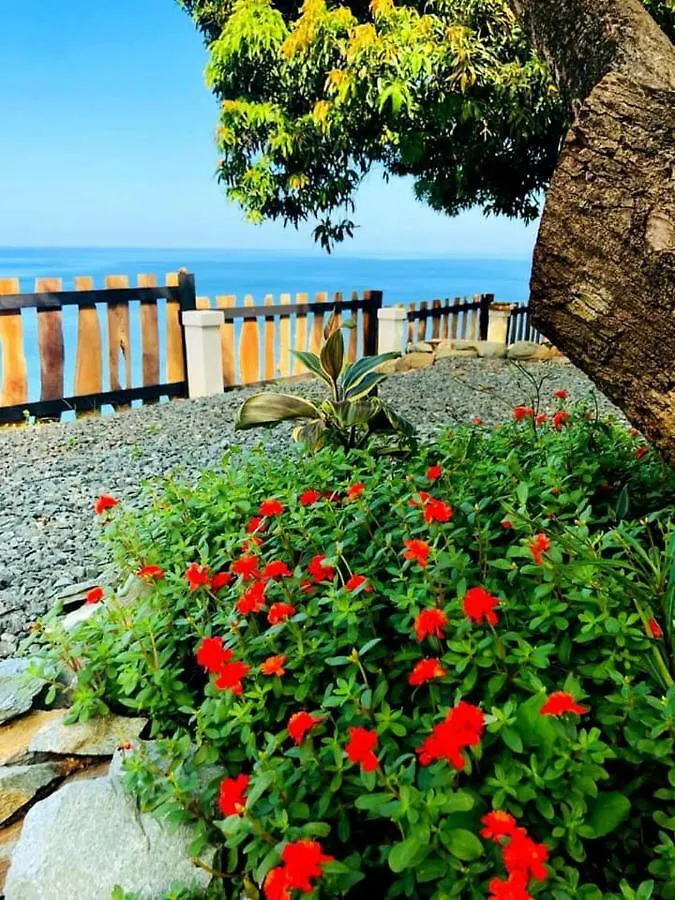 Aparthotel Castara Inn